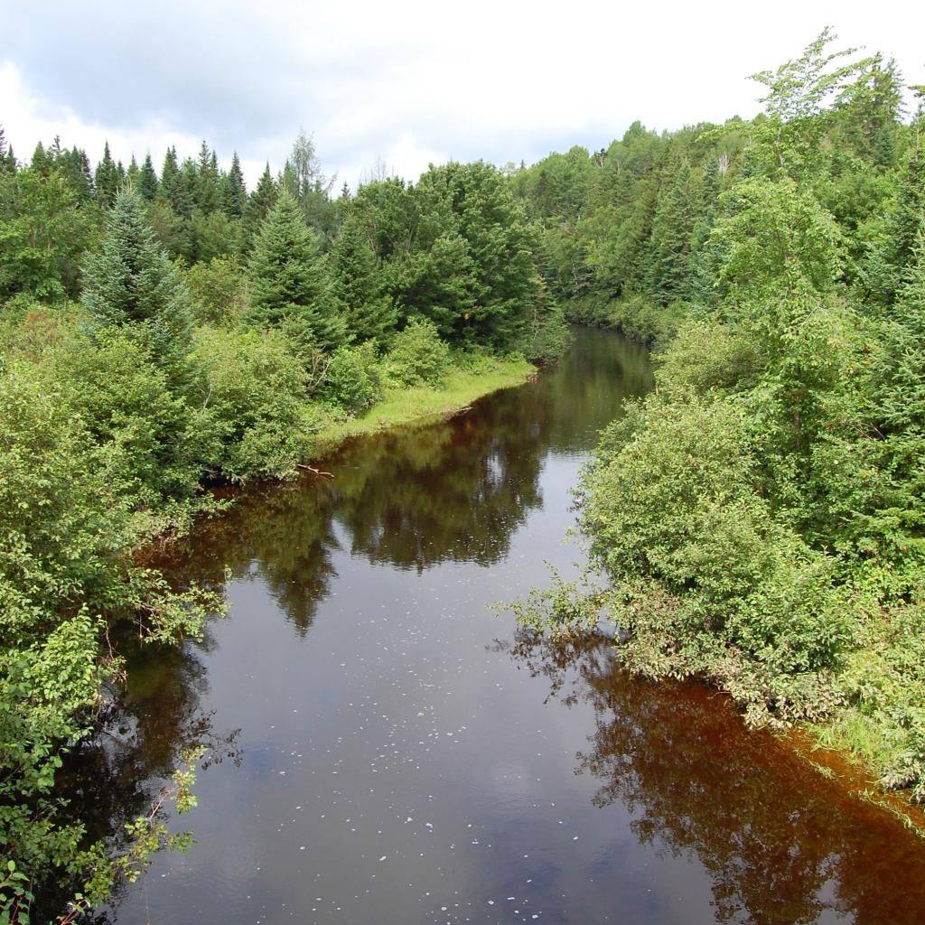 Buďme zodpovední!!!