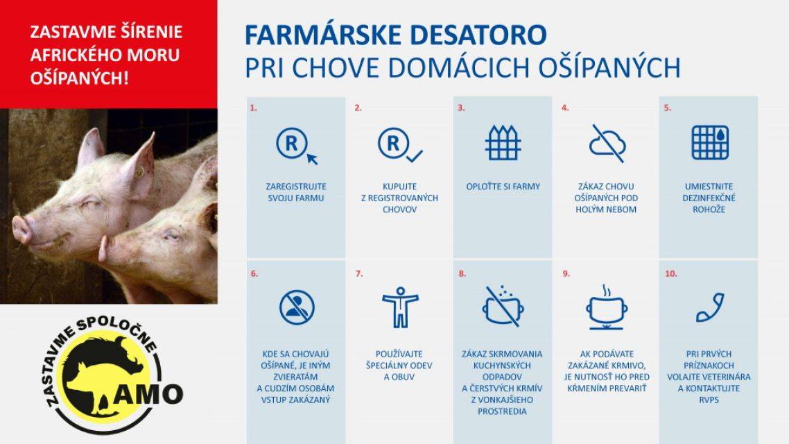 Regionálna veterinárna a potravinová správa Martin (ďalej len „RVPS Martin“) ako vecne a miestne príslušná podľa § 8 ods. 3 písm. a) bod 3 zákona 39/2007 Z. z. o veterinárnej starostlivosti v znení neskorších predpisov (ďalej len zákon 39/2007 o veterinárnej starostlivosti), vzhľadom na priebeh nákazovej situácie v súvislosti s africkým morom ošípaných ( ďalej len AMO) vydáva pre chovateľov ošípaných (komerčné chovy, drobnochovy) a užívateľov poľovných revírov vo vysokorizikovej oblasti part II. v súlade s Národným kontrolným programom pre africký mor ošípaných v diviačej populácii na Slovensku v roku 2026 Národným eradikačným programom pre africký mor ošípaných v diviačej populácii pre rok 2026 a Vykonávacím Nariadením Komisie (EÚ) 2023/594 zo 16. marca 2023, ktorým sa stanovujú osobitné opatrenia na kontrolu afrického moru ošípaných toto usmernenie: