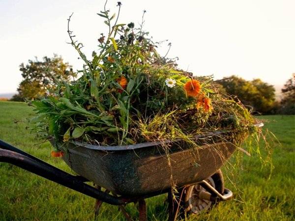 Začiatkom tohto týždňa sa v meste Moldava nad Bodvou začal zber zeleného odpadu zo záhrad, ktorý potrvá do 31. marca. Konáre, kríky a iný zelený odpad je potrebné zhromaždiť na viditeľné miesto pred rodinný dom. Následne pracovníci Sociálneho podniku zabezpečia jeho odvoz. Odvážať sa bude len biologicky rozložiteľný odpad. Iné druhy odpadov z upratovania ako aj biologicky rozložiteľný odpad v inom termíne ako je uvedený je možné odviezť na Zberový dvor na ulici Hlavnej č. 127 (bývalé Technické služby) podľa usmernení vo VZN o odpadoch. Dávame do pozornosti, že ak Vaša domácnosť disponuje kompostérom, tak tento zelený odpad je vhodný na kompostovanie. Podrtené konáre sú zasa vhodné do záhonov, ku kríkom a stromom ako mulč. Upozorňujeme, že odpad vyložený na verejné priestranstvo po tomto dátume bude klasifikovaný ako čierna skládka a bude riešený MsP. Ďakujeme Vám za dodržanie tohto termínu.   A hét elején kezdődött a zöldhulladék tavaszi begyűjtése a kertekből Szepsi városában, és március 31-ig tart. Az ágakat, bokrokat és egyéb zöldhulladékot a ház előtt jól látható helyen kell gyűjteni. Csak a biológiailag lebomló hulladék kerül elszállításra. Az egyéb tisztítási hulladékokat, valamint a biológiailag lebomló hulladékot a megadottól eltérő időpontban a Fő utca 127. szám alatti gyűjtőudvarra (volt Műszaki Szolgáltatások) lehet elszállítani a hulladékokról szóló általánosan kötelező érvényű rendeletben foglaltak szerint. Felhívjuk figyelmét, hogy ha háztartásában van komposztáló, akkor ez a zöldhulladék alkalmas komposztálásra. A felaprított ágak alkalmasak ágyások, bokrok és fák számára mulcsként. Figyelem: Az ezen időpont után közterületen lerakott hulladék illegális szemétlerakónak minősül, és a Városi Rendőrség jár majd el az ügyben. Köszönjük megértésüket!