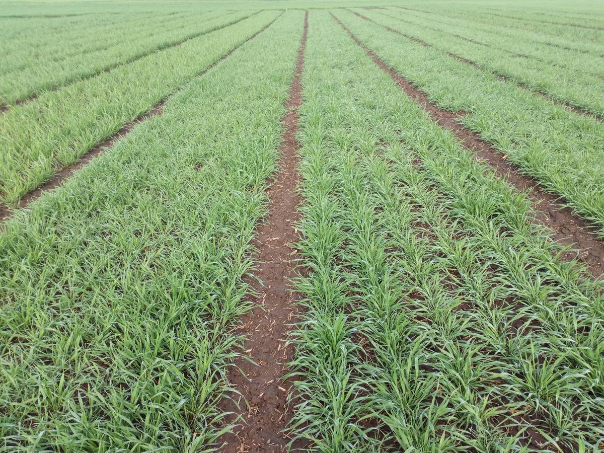 Informujeme Vás tímto, že během nadcházejícího víkendu 15. – 16. března bude v bezprostředním okolí našeho města probíhat plánované hnojení polí močůvkou, v důsledku čehož bude dočasně zvýšený zápach a případný pohyb zemědělské techniky na místních komunikacích. Děkujeme za pochopení.