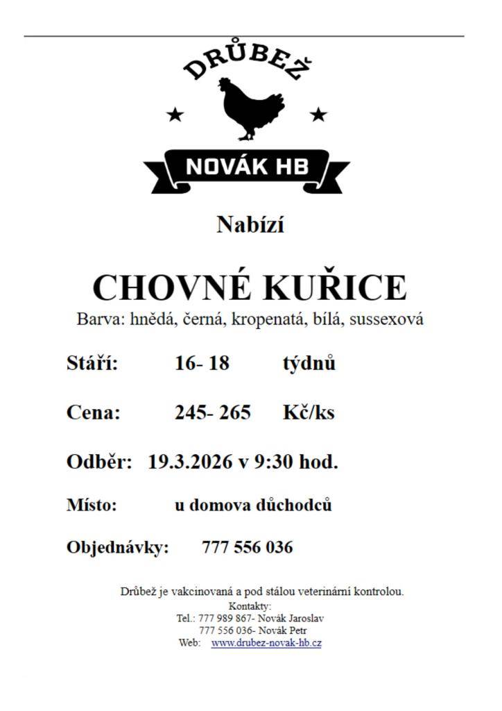 Nabízíme chovné kuřice v několika barevných variantách, včetně hnědé, černé, kropenaté a bílé. Odběr se uskuteční 19. března 2026 v 9:30 hodin u domova důchodců. Kuřice jsou ve věku 16-18 týdnů, vakcinované a pod neustálou veterinární kontrolou.