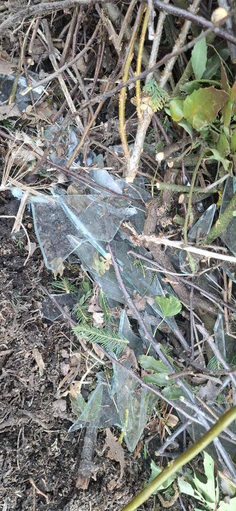 SKLO DO BIOODPADU NEPATŘÍ!  Upozorňujeme občany, že při příjezdu na sběrný dvůr je nutno nejprve: 1) předložit občanský průkaz, 2) nahlásit obsluze jméno, číslo popisné a druh odpadu, 3) odpad ukládat roztříděný jen na určená místa.