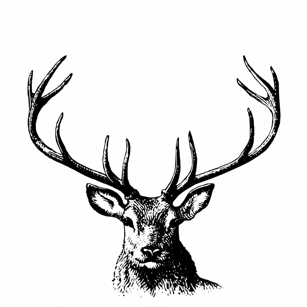 Srdečně Vás zveme na myslivecký ples s bohatou tombolou a výtečnou kuchyní.