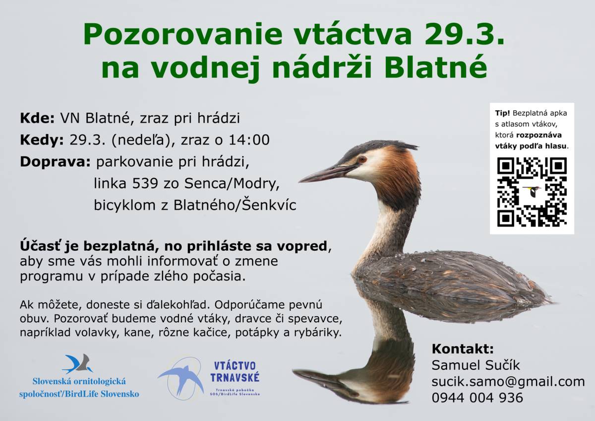 Pozorovanie vtáctva sa uskutoční na VN Blatné so zrazom pri hrádzi dňa 29.03.2026 o 14:00 hodine. Účasť je bezplatná, no prihláste sa vopred na kontaktoch nižšie. Tešia sa na Vašu účasť.