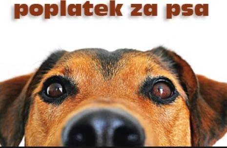 Splatnost poplatku je do 31. března 2026.