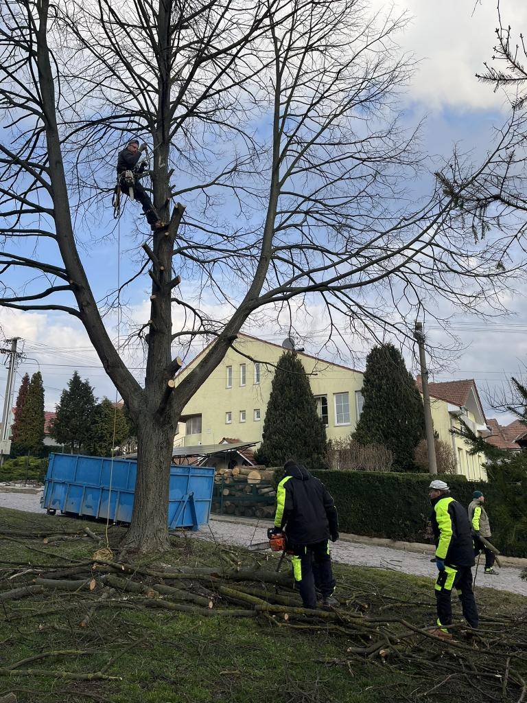 SMUTNÝ PŘÍBĚH NESKONČÍ JEN POKÁCENÍM