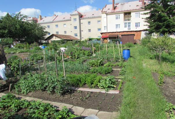 ➡️jde o záhonky o výměrách 55 m2 a 54 m2 🟢výše ročního nájmu je 10 Kč/m2  Zahrádky jsou neoplocené na pozemku parc. č. 1347/1 u bytových domů č. 1 až 9 na ulici Školní, určené k zahrádkářskému využití.  V případě zájmu, se prosím, obraťte na Odbor majetku města Moravská Třebová, nám. T. G. Masaryka 32/29, zadní trakt  👤 Eva Blažková, 📞461 353 131 nebo✉️eblazkova@mtrebova.cz
