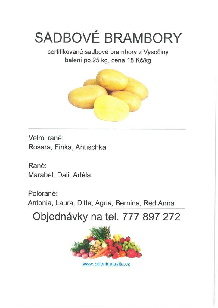 sokolovna 13.3.2026 v 8:40-9:00 hodi