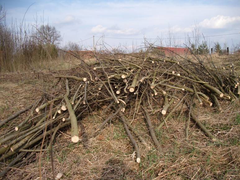 Ceník pronájmů a služeb platný od 1.4.2026