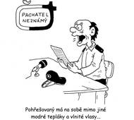 K zatčení pachatele je potřeba přesný popis