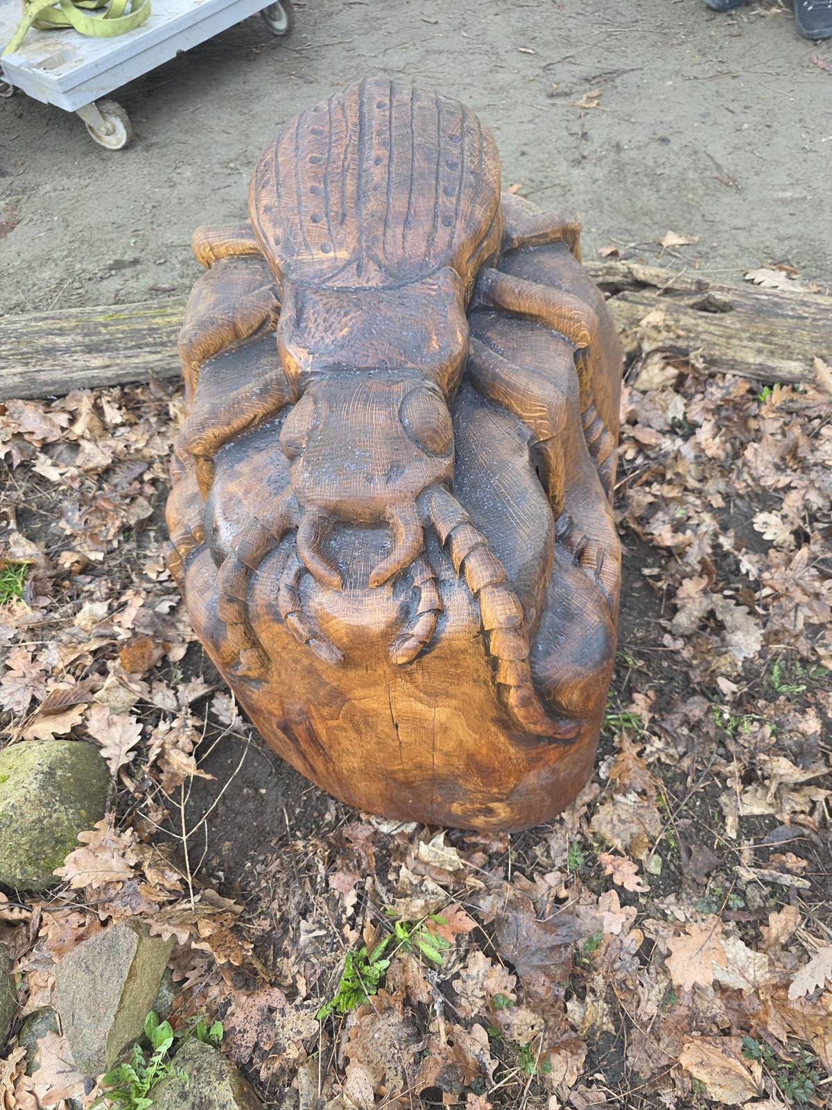 Dnes je opravdu krásné počasí – ideální vyrazit na procházku. Máme pro vás jeden příjemný tip. V lesoparku Sokolka byla v minulém roce poničena dřevěná socha brouka střevlíka. Ve středu byl na místo dovezen nový střevlík, kterého se ujal teplický řezbář pan Zdeněk Lamka. Dnes byla tato nová dřevěná socha úspěšně nainstalována. Nový střevlík se tak stal součástí již dříve instalovaných dřevěných zvířátek, která zpříjemňují procházky v lesoparku a nahradil tak poničenou sochu. Pokud přemýšlíte, kam dnes vyrazit, doporučujeme se při procházce v lesoparku Sokolka zastavit a na toto krásné umělecké dílo se podívat. Věříme, že potěší malé i velké návštěvníky. Přejeme vám příjemné odpoledne v přírodě! 🌳🪵🪲