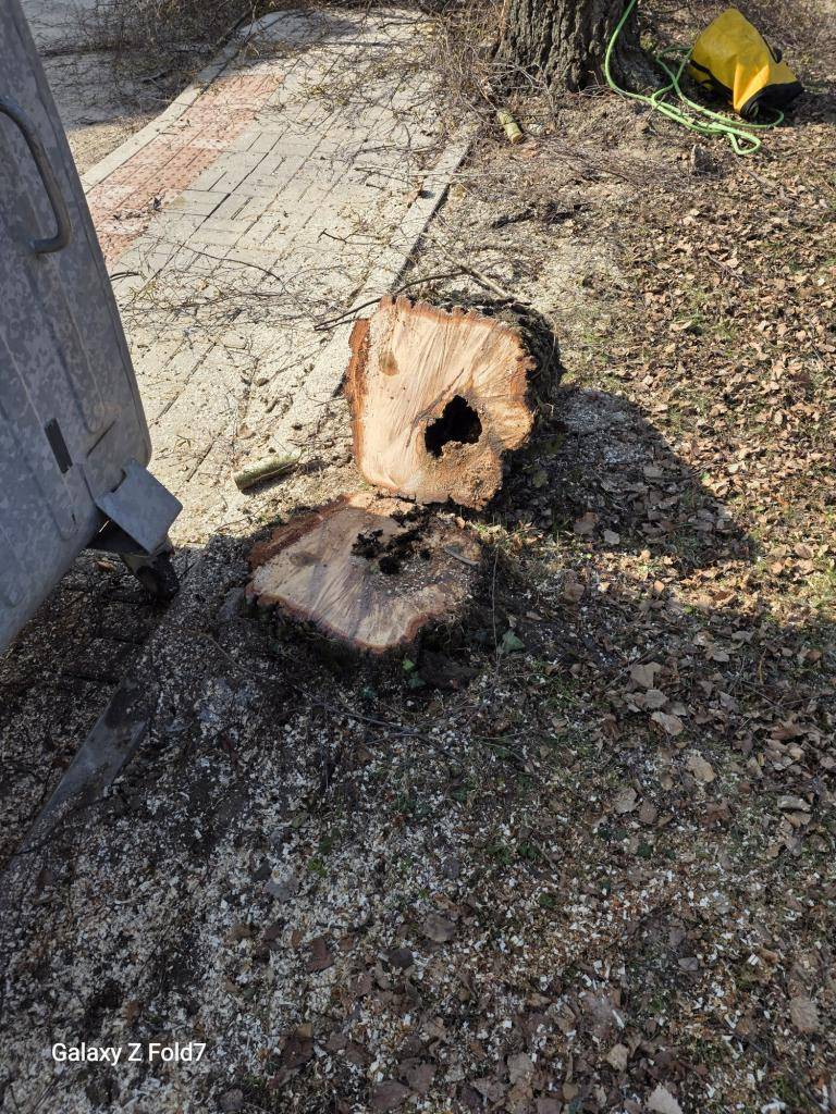 Vhledem k množství dotazů zveřejňujeme informace o revitalizaci veřejné zeleně u prodejny COOP.