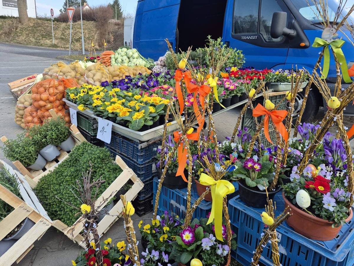 Farmářské trhy jsou zpět. Jen zatím v jiném formátu. Po dohodě s městem 1x měsíčně. Přijďte nás podpořit a ukázat, že naše snažení má pro Vás smysl ❤️  Poprvé se setkáme již teď v úterý 17.3. (Další bude až v dubnu!) Farmářský trh se  koná v Hrádku nad Nisou, na Horním náměstí, v čase od 7:00 do 13:00 hodin. Můžete se těšit na již tradiční: 🐖 řeznictví Marešovi a velký výběr čerstvého masa, kvalitních uzenin, luxusních párků, špekáčky a další masné dobroty   🥕🧄🧅 Zelenina ze dvora od p. Brože z Malého Rohozce 🥦🥬🫑🌶  🧀 oblíbené tyrolské dobroty - klobásky, sýry a další speciality od Tiroler.cz - Liberecko   🐟stánek z Rybí farma - Ráj pod Lemberkem a jejich čerstvé ryby, které si sami vyberete, necháte vylovit a hned připravit. Zároveň můžete vybrat ryby již krásně vyuzené.  🧉 úžasné marmelády, hořčice a další pochutiny přímo od výrobce Moje marmeláda, oceněný regionální produkt Včetně útěrek a chňapek od Vobchůdek Koza z Mimoně 👌 🍇 ovocné mošty a výběrová vína z Jižní Moravy od Stánek ze sna, včetně horkých nápojů 🍯 Včelí farma Smržov  se svými medy a medovými produkty 🍞🥖🫓 řemeslný chléb, housky, rohlíky, koláče a další  úžasné pečivo od pekárny Vaše Selka z Turnova 👌 Súsedovy trubičky (kdysi Sychrovy trubičky) 🛁 Přírodní mýdla 🤱 👕🩳 dětské šité oblečení od Andy, super střihy i látky za příznivé ceny  🔺️Ručně vyrobené orgonity a macrame od Verunky 🎨Po celé dopoledne vám bude k dispozici karikaturista Jiří Karikatury Novotný 🎨 (maluje i podle fotky) 📍💕Na sdíleném komunitním stole se objeví domácí vejce od malochovatele z Chotyně (Zapojte se také a něco ze zahrady nabídněte🍎, třeba domácí vejce🥚, ty jsou vždy poptávané, nebo aktuálně přebytky jarní sadby, budeme moc rádi ) ☕️ opět se společně také můžeme těšit na Tapirro Caffé  Perfetto Gusto  s lahodnou kávou a horkou čokoladou👌 ...a možná i něco více... Tak tedy, těšíme se na vás 💗👍🌞 pěkné počasí vemte prosím sebou do košíku 🧺 👍  ‼️( Další trh bude až 14.4.)‼️