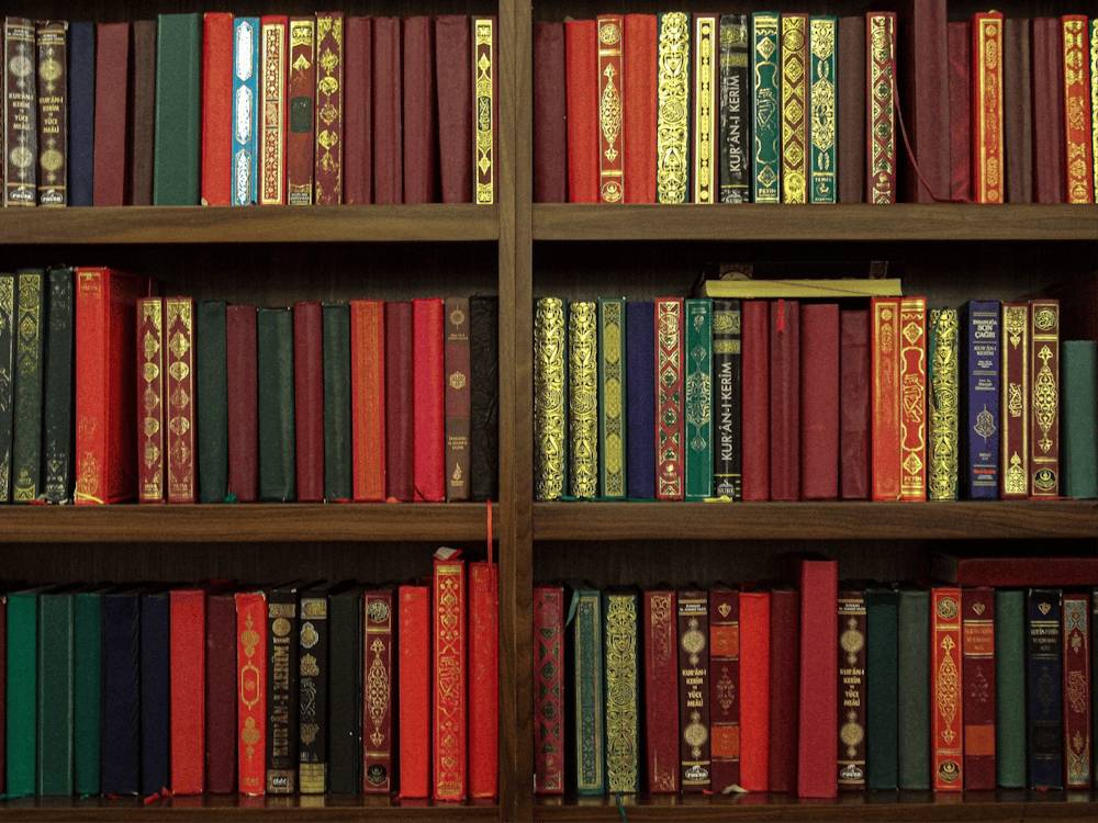 Z důvodu výměny hlavního elektrorozvaděče budovy obecního úřadu bude dne 25. března 2026 uzavřena knihovna.