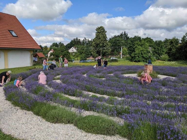 Vyrábíte produkty na území Hranicka či Lipenska? Své kvalitní produkty i služby můžete zviditelnit regionální značkou MORAVSKÁ BRÁNA regionální produkt®.