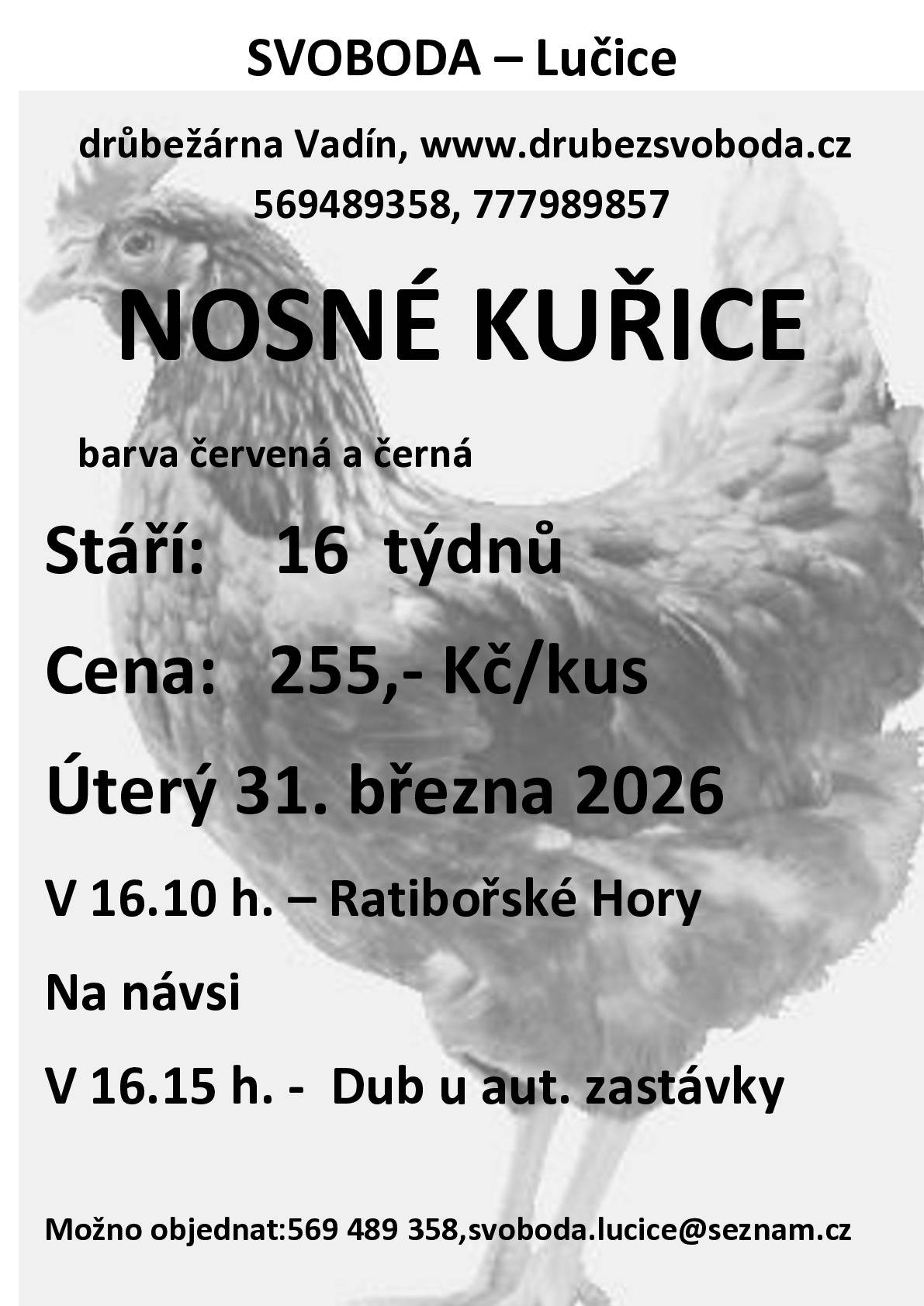 SVOBODA Lučice - drůbežárna Vadín nabízí prodej nosných kuřic v barvě červená a černá. DNE: 31. března 2026 od 16.10hod. na návsi v Ratibořských Horách a od 16.15hod. v Dubu u autobusové zastávky. STÁŘÍ: 16 týdnů CENA: 255,-Kč/ks Více info na www.drubezsvoboda.cz nebo na tel: 569 489 358, 777 989 857.