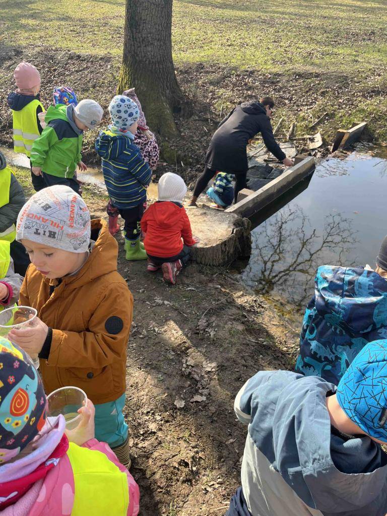 V uplynulém týdnu jsme s dětmi prozkoumávaly co ukrývá voda. Na vycházce jsme si nabíraly vodu do průhledných kelímků a pozorovaly, kde je voda čistá a kde ne. Také nechybělo jarní sázení. S dětmi jsme zasadily 3 druhy zeleniny, které poté zasadíme do záhonků a také osení.