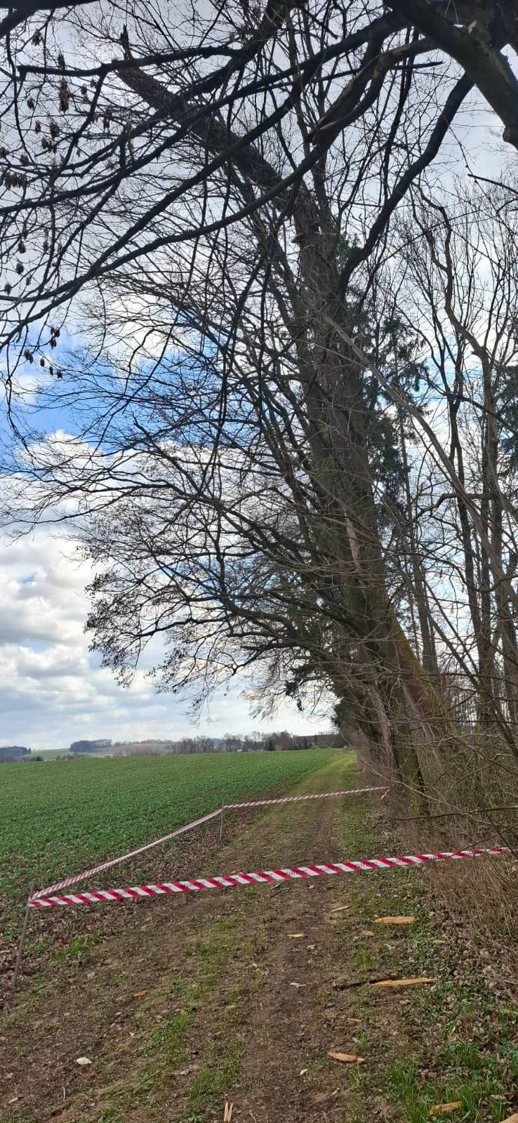 Upozornění na nebezpečí pádu stromu na stezce Bošín Běstovice. Pokud se budete pohybovat v těchto místech, dbejte zvýšené opatrnosti! Jinak se místu raději vyhněte.