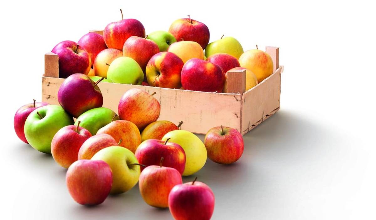 Ve středu 18.3.2026 přijede do naší obce prodejce jablek a hrušek od Jičína. Cena je 23 Kč/kg.  Prodej proběhne v Čachovicích od 9:30 před OÚ, ve Struhách od 9:50 na návsi.