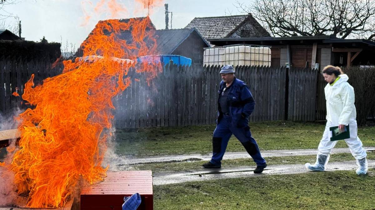Včelstva musí být zlikvidována, město chce pomoci.