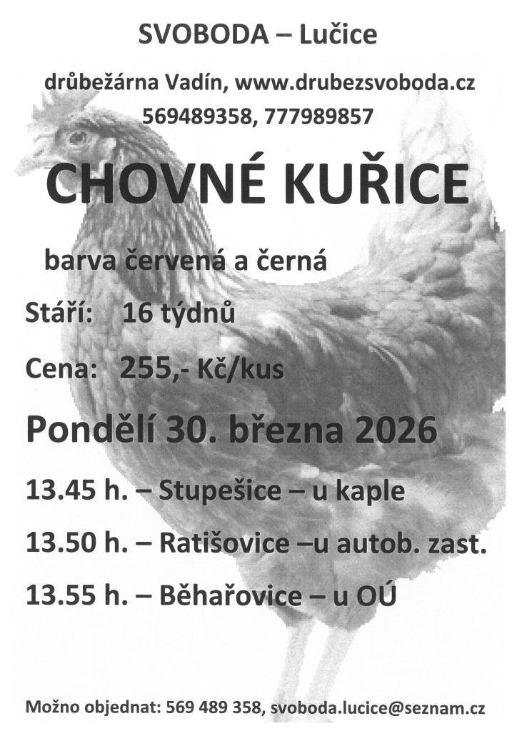 Firma Svoboda Lučice bude prodávat  v pondělí 30. března 2026   -v 13.45 hodin - Stupešice - u kaple,  - v 13.50 hodin - Ratišovice - u autobusové zastávky  - v 13.55 hodin - Běhařovice - u OÚ    nosné kuřice, stáří 16 týdnů
