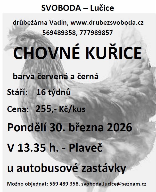 V pondělí 30.3.2026 v 13:35