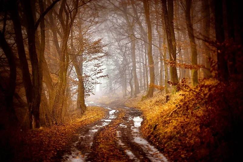 OR HaZZ v zlatých Moravciach upozorňuje občanov na vznik požiarov v jarnom a letnom období v dôsledku vypaľovania trávy, suchých porastov a spaľovania odpadov zo záhrad. Vyzýva občanov aby nezakladali oheň na miestach, kde by sa mohol rozšíriť požiar a aby dodržiavali zásady požiarnej bezpečnosti.