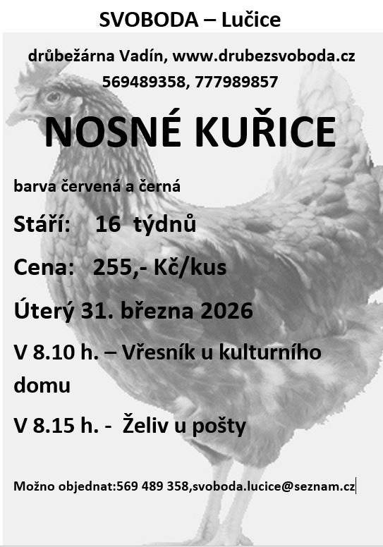 V úterý 31.3. se uskuteční prodej nosných červených a černých  kuřic od firmy Svoboda - Lučice Vřesník - 8:10 hod. Želiv - 8:15 hod.