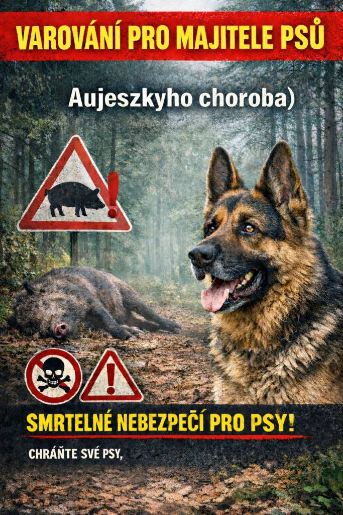 V katastru obce Lanžhot byl u divokého prasete potvrzen výskyt Aujeszkyho choroby. Pro psy je tato nákaza VŽDY SMRTELNÁ a neexistuje na ni lék ani očkování!   Pro více informací rozklikněte.