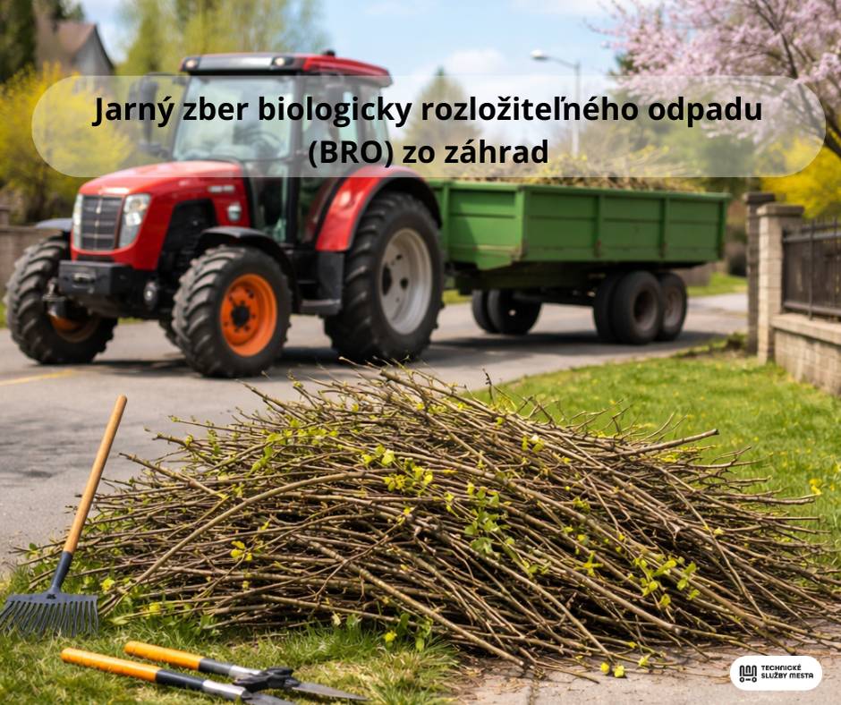 Technické služby mesta Nové Mesto nad Váhom budú zabezpečovať zber biologicky rozložiteľného odpadu zo záhrad (BRO) od 23. marca 2026 podľa vopred stanoveného harmonogramu zverejneného na webovej stránke technických služieb. Zber je určený najmä na odvoz konárov väčších rozmerov, drevnej hmoty a odpadu z orezávania stromov a krov, ktoré nie je možné uložiť do bežných nádob na bioodpad. Žiadame obyvateľov, aby odpad pripravili na odvoz v súlade s pokynmi – vyložili ho na dostupné miesto pred rodinným domom tak, aby neobmedzoval chodcov ani cestnú premávku a bol prístupný pre zberovú techniku. Upozorňujeme, že odpad nesmie byť uložený v igelitových vreciach, plastových nádobách ani zviazaný drôtom, inak nebude možné jeho odobratie. Zároveň pripomíname, že obyvatelia môžu biologicky rozložiteľný odpad bezplatne odovzdávať počas celého roka v mestskej kompostárni na ulici Banskej. Ďakujeme, že zodpovedným prístupom k triedeniu odpadu prispievate k čistejšiemu mestu a ochrane životného prostredia. Harmonogram - Jarný zber biologicky rozložiteľného odpadu (BRO) zo záhrad v Novom Meste nad Váhom | TSM Nové Mesto nad Váhom