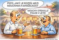 Rozdíl mezi mouchami a manželkou