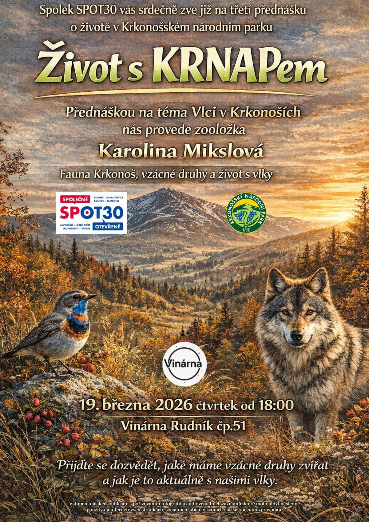 Spolek SPOT30 vás srdečně zve na další setkání z cyklu přednášek Život s KRNAPem.  📅 Čtvrtek 19. března 2026  🕕 od 18:00 hodin 📍 Vinárna Rudník č.p.51 💰 Vstupné dobrovolné  Třetí přednáška ponese téma „Vlci v Krkonoších“. Povídat bude zooložka Karolina Mikslová ze Správy KRNAP o fauně Krkonoš a především o vlcích, kteří se do našich hor v posledních letech vracejí. 🐺  Zajímavostí je, že v poslední době byl potvrzen výskyt smečky vlků také na katastru obce Rudník, takže o otázky a diskusi jistě nebude nouze.  Přijďte se dozvědět více o životě vlků, jejich návratu do krajiny a o tom, jak mohou lidé a divoká příroda vedle sebe fungovat s respektem.  Těšíme se na vás!  SPOT30