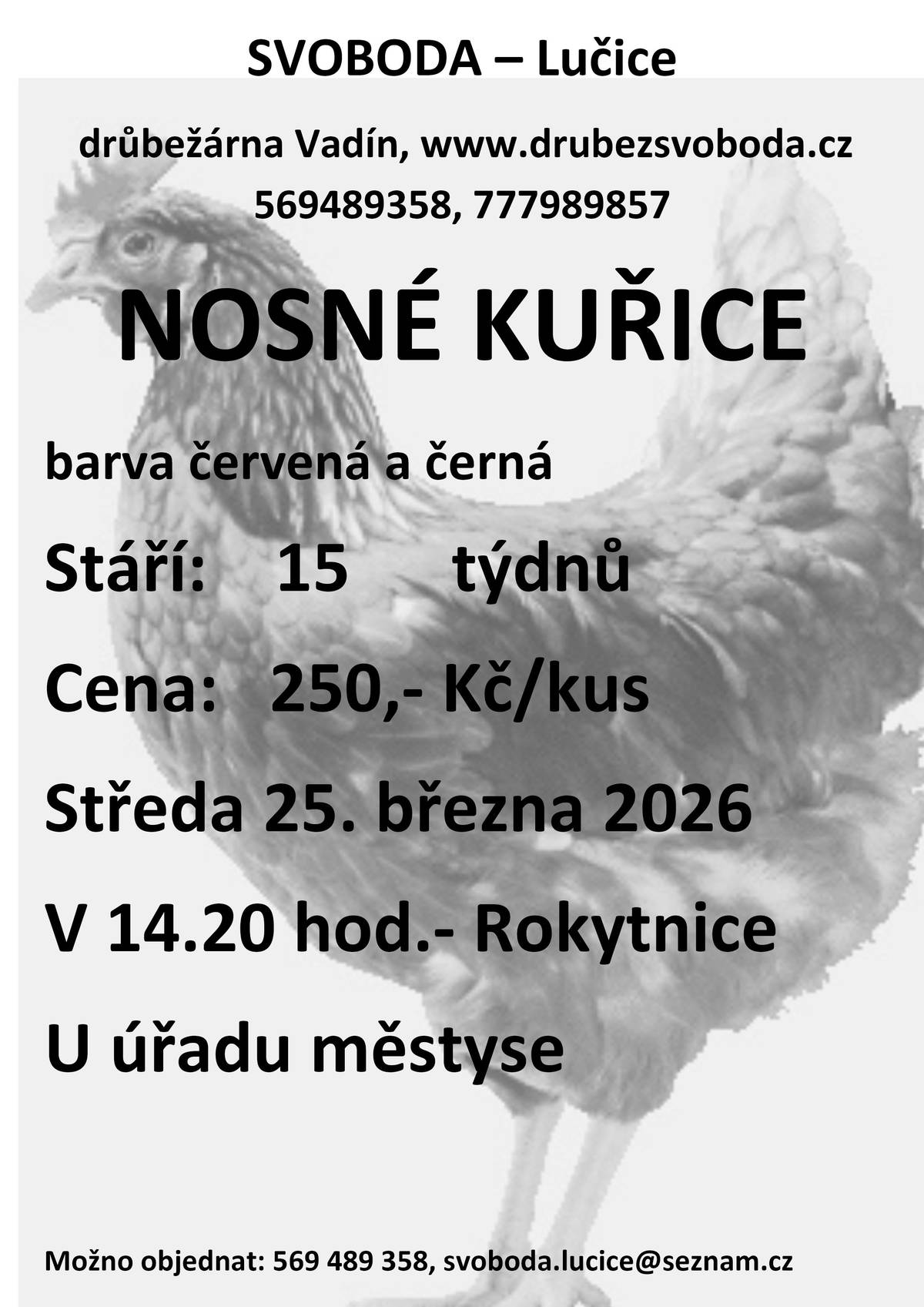 Nabídka nosných kuřic