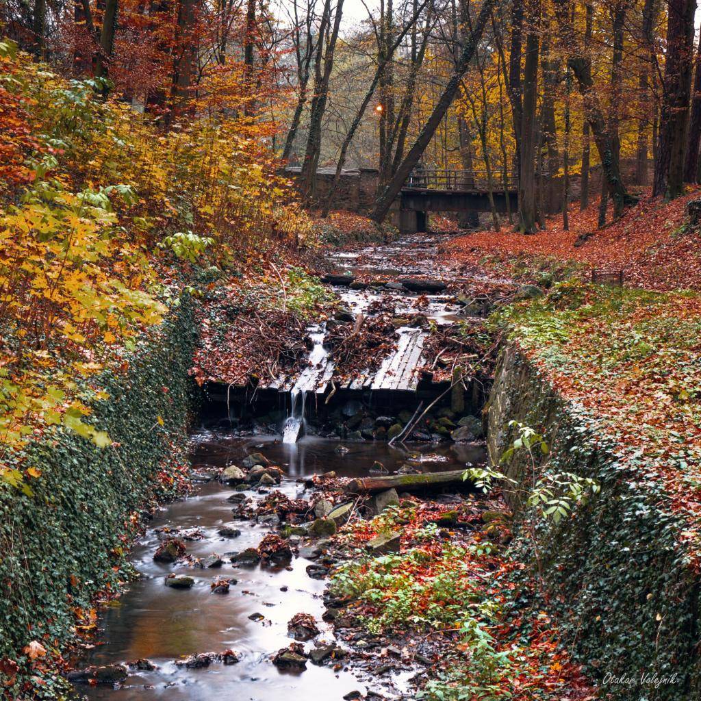 26. února letošního roku podalo Povodí Labe, s.p. u příslušného vodoprávního úřadu v Chrudimi žádost o stavební povolení pro nový jez na Podolském potoce v zámeckém parku. Pokud vše půjde dle předpokladů, výstavba jezu by mohla být zahájena v roce 2027.  Aleš Jiroutek, starosta města