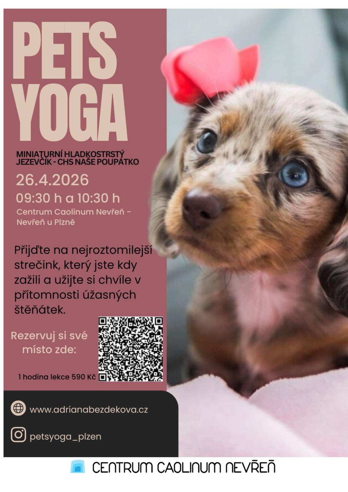 Nejroztomilejší lekce jógy, jakou jste kdy zažili! Přijďte si užít jedinečné spojení jógy a roztomilých štěňátek. Čeká vás hodina plná pohody, smíchu a chlupaté radosti, která vám zaručeně zlepší den. ✨ Protáhnete tělo - Uklidníte mysl -  A mezitím vás budou doprovázet úžasná štěňátka 📅 26. 4. 2026 od 9:30 – 10:30 v CCN 💰 Cena lekce: 590 Kč Místa jsou omezená – rezervujte si své místo přes QR kód na plakátu. Těšíme se na vás a na společné chvíle plné radosti 🐾 🌐 www.adrianabezdekova.cz 📷 Instagram: @petsyoga_plze