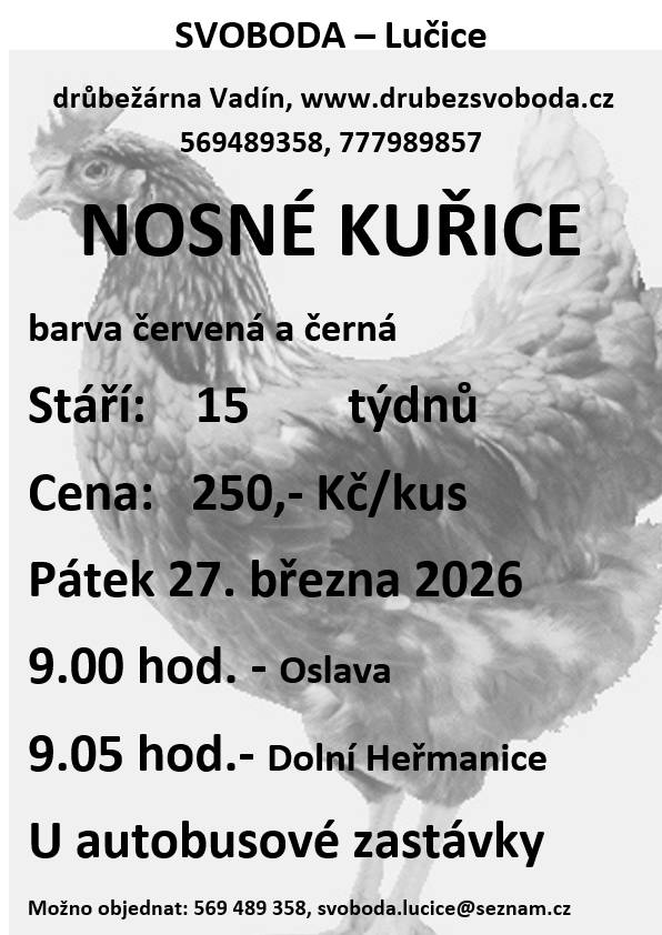 Dobrý den,  Firma Svoboda Lučice bude prodávat nosné kuřice, stáří 15 týdnů, cena 250 Kč / kus, barva červená-Isa brown a černá-Morávia.  Kdy: Pátek 27.03.2026 v 9:00 - Oslava Kdy: Pátek 27.03.2026 v 9:05 - Dolní Heřmanice (zastávka)  Děkujeme. Obec Dolní Heřmanice