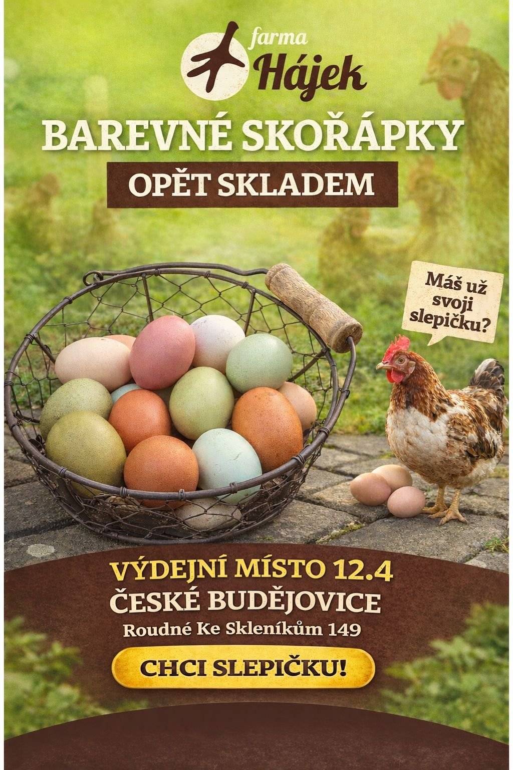 Nabídka koupě slepiček s barevnými skořápkami dne 12.4.2026 v 9:00 hodin, Roudné, Ke Skleníkům 149. Kontakt: Jana Horáková, DiS., tel.: 773 735 286.