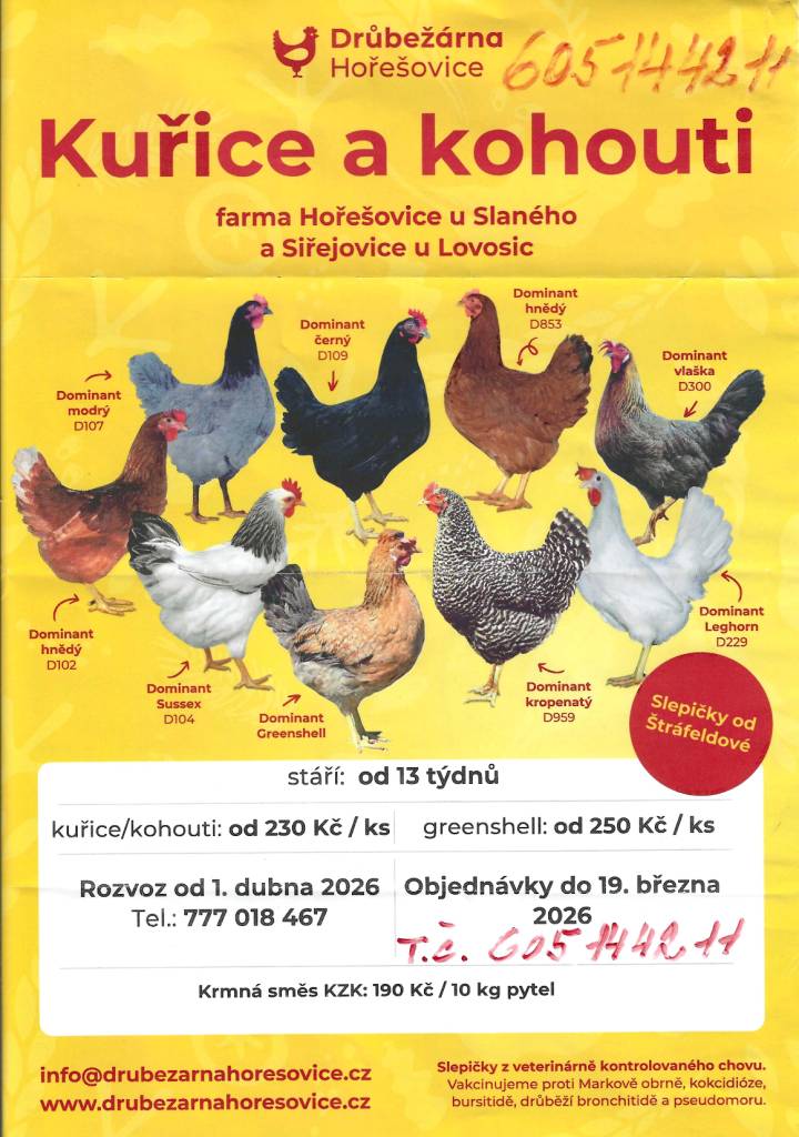 Kuřice a kohouti - objednávky