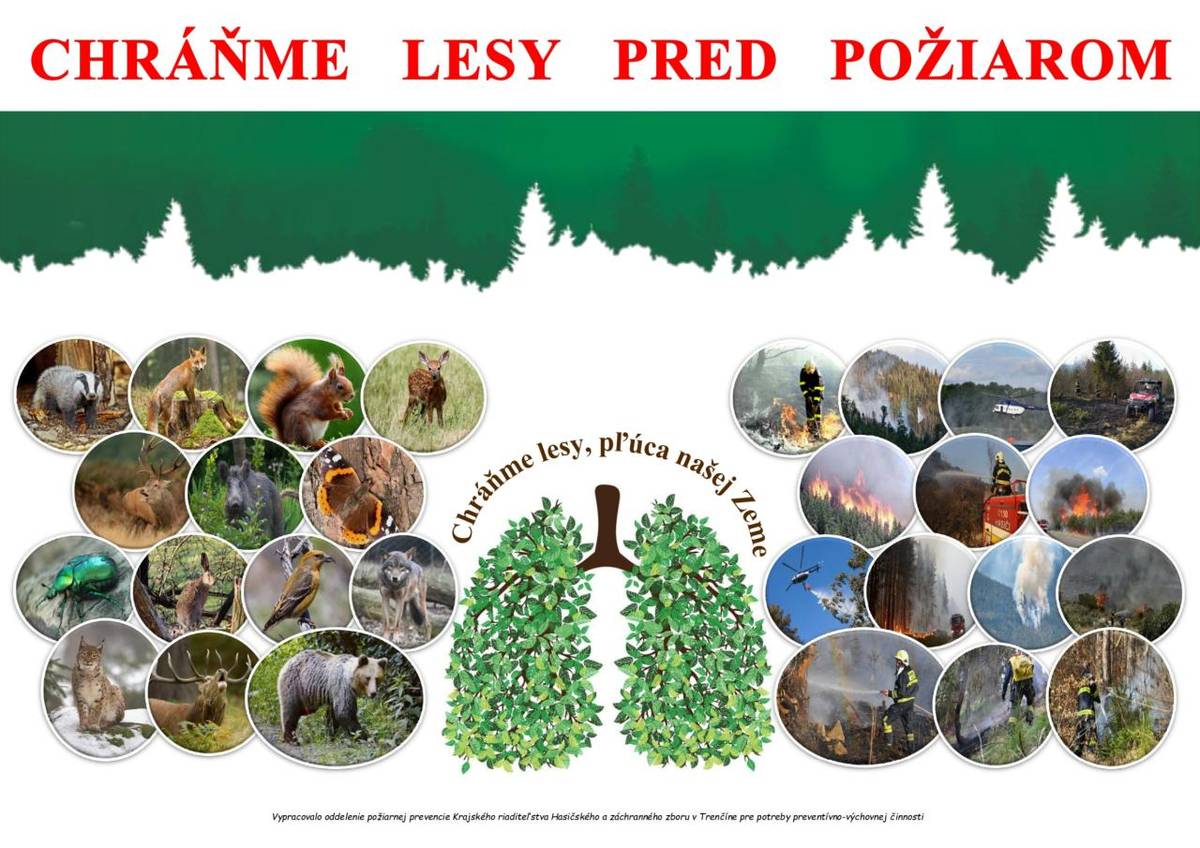 S príchodom jarných dní, výletov do prírody, či prác na záhrade sa každoročne v prírode vytvárajú podmienky pre zvýšený výskyt požiarov. Hasiči vás upozorňujú na typické príčiny vzniku lesných požiarov a poskytli vám niekoľko rád, ako tieto riziká podstatne obmedziť.
