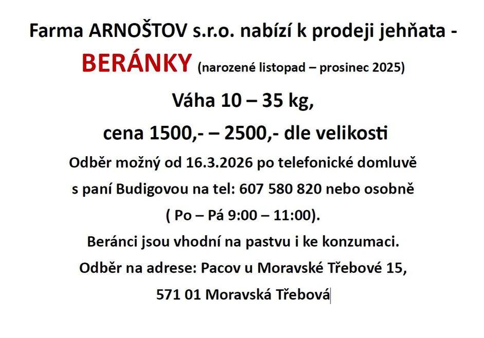 Farma ARNOŠTOV s.r.o. nabízí k prodeji jehňata - BERÁNKY. Více informací na letáku: