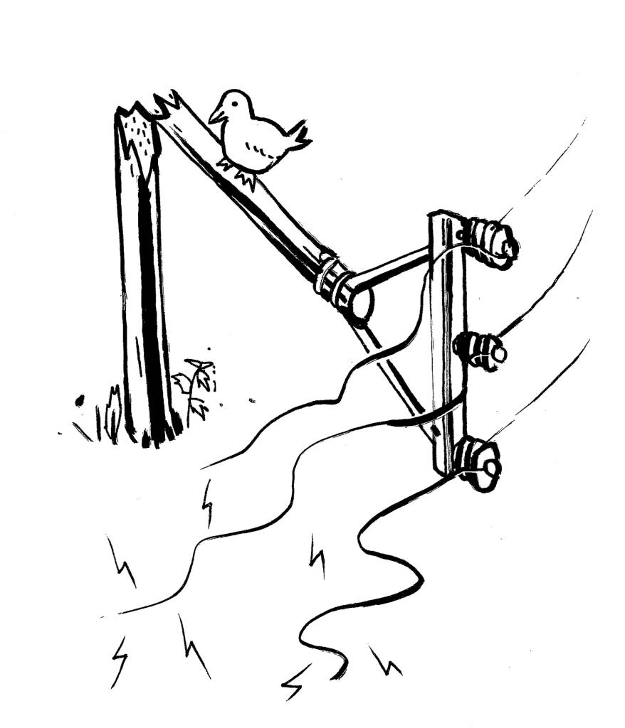 Proběhne ve čtvrtek 19. března.