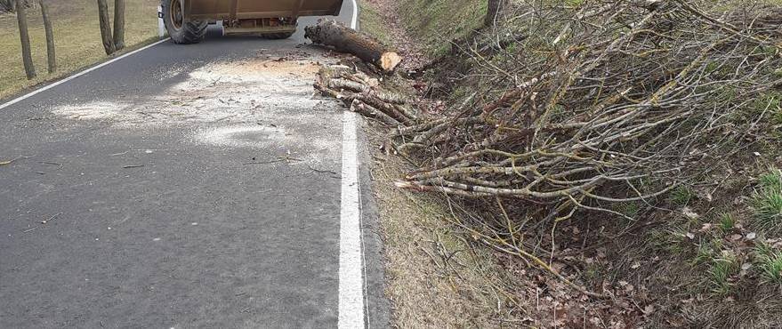 Ve dnech 21.–22. 3. bude v katastru obce Kšely probíhat kácení suchých stromů podél silnice III/10812 (úseky Přistoupim–Kšely a Vitice–Kšely).  Prosíme řidiče o zvýšenou opatrnost a respektování pokynů hasičů zajišťujících bezpečnost provozu.