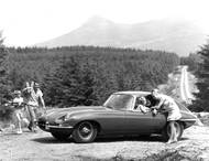 „Éčkem“ na dřevo? Proč ne, pokud jiné auto nemáte a do lesa je blízko…