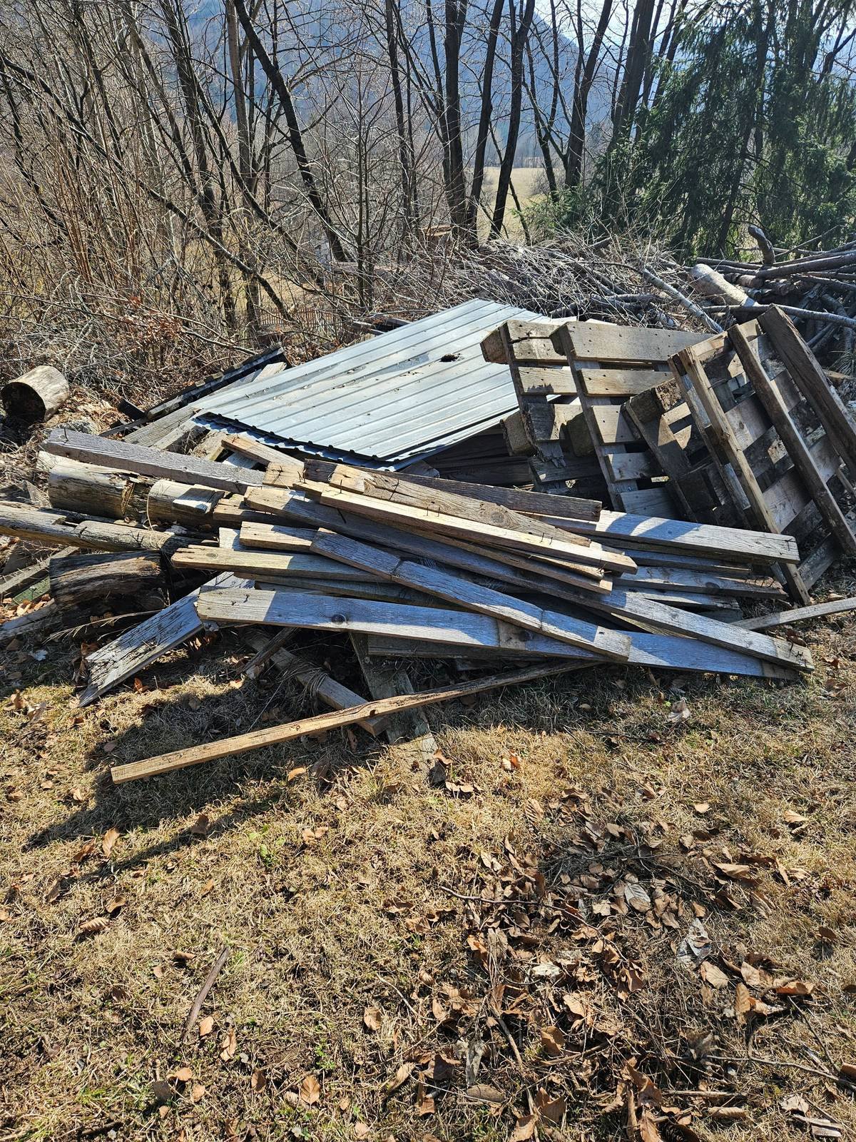 Spoluobčan pán Kováč ml. daruje : drevo /latky /palety na spalenie za odvoz. Kontakt: 0905 914 344