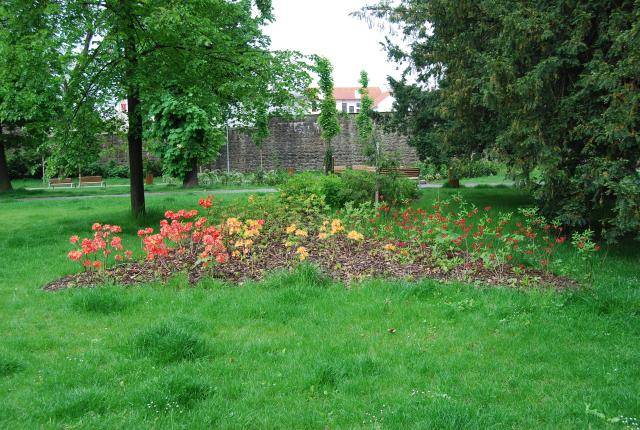 S prvními teplejšími dny se v přírodě začínají objevovat klíšťata. Jejich aktivita může začít už při teplotách kolem 5 až 7 °C.                               Číst dál...
