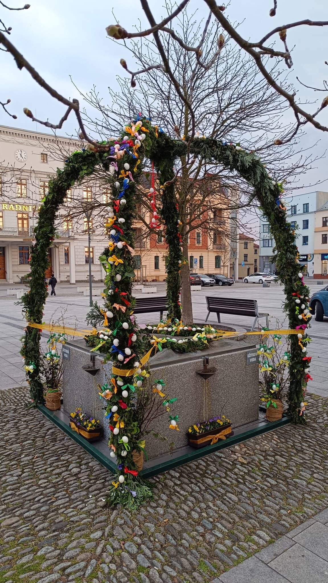 I letos se naše kašna dočkala nádherné sváteční proměny. Obrovské poděkování patří paní Rie Drobíkové a členům Spolku Sousedé 55+, kteří věnovali svůj volný čas a energii tomu, aby udělali naše město krásnější. Díky jejich šikovným rukám se kašna proměnila v rozkvetlou velikonoční dominantu plnou kraslic a jarní zeleně. Právě takové detaily dělají z Hlučína domov, na který můžeme být pyšní. 🌸 Zastavte se při procházce náměstím, pokochejte se výsledkem jejich práce a načerpejte jarní inspiraci. Děkujeme, že pomáháte tvořit atmosféru našeho města! ❤️👏 #hlucin #velikonoce #mirovenamesti #tradice #dobrovolnici #jarojevevzduchu