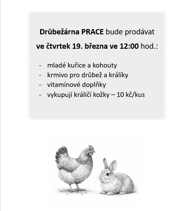 19.3.2026, ve 12:00, u OÚ