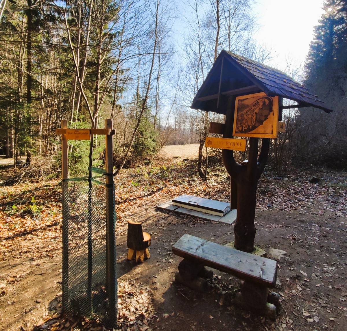 Krásné počasí vyloženě láká protáhnout těla procházkou nebo během. Rozcestí Na Šupalce se pomalu po zimním odpočinku probírá. Byly provedeny udržovací práce, místo opět prokouklo, přibyla "dětská stolička" a samoobslužný bar - k našemu obrovskému překvapení - již vydatně hostí pocestné. Musíme tedy konstatovat, že hlavní letošní sezóna je tedy zahájena. Nakupujeme zásoby, rozplánováváme organizaci zásobování a již jsme přidali do baru letošní novinku 😋.  Protože z vlastní zkušenosti víme, že taková ledová káva po náročném treku je prostě k nezaplacení, tak ji tam na zkoušku máme a uvidíme, jestli se stihne ohřát 😁. Zastavte se a dejte nám vědět. Děkujeme za vzkazy nejen v deníku, které nám vždy zlepší den, ale i za zpětné vazby při setkáních přímo na místě, kterých není málo a vždy jsou velmi příjemná. Bude to rok, co vznikla myšlenka zasazení dcery Lukásovy zpívající lípy na počest rybensko - březinského přátelství. Bude to rok, co Na Šupalce býval jen rozcestník a jakési "křoví" 😊. Bude to rok, co jsem naposledy slyšela přátelské varování (jako reakci na zbudování lesního baru) "nedělej to" a bude to rok, co poslouchám "nemůžeš říct, že jsem tě nevaroval 😁". Jenže ono to za ten čas, starosti a náročnost s tím spojenou prostě tak nějak stojí 😉.  To místo má svoji přidanou hodnotu, kterou těžko popsat, ale víme, že tam je. Je to krásné a možná nejkrásnější místo na hranicích katastru obce Pustá Rybná a obce Březiny.