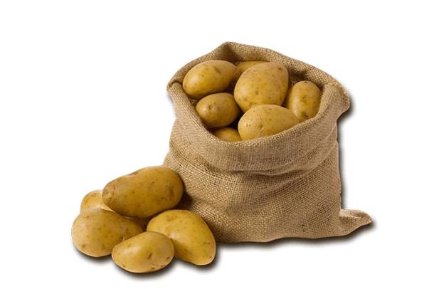 Zahradnictví Balejovi v Dlouhé Vsi nabízejí k prodeji sadbové brambory za 16 Kč/kg. Otevřeno denně od 8,00 do 17,00 hodi