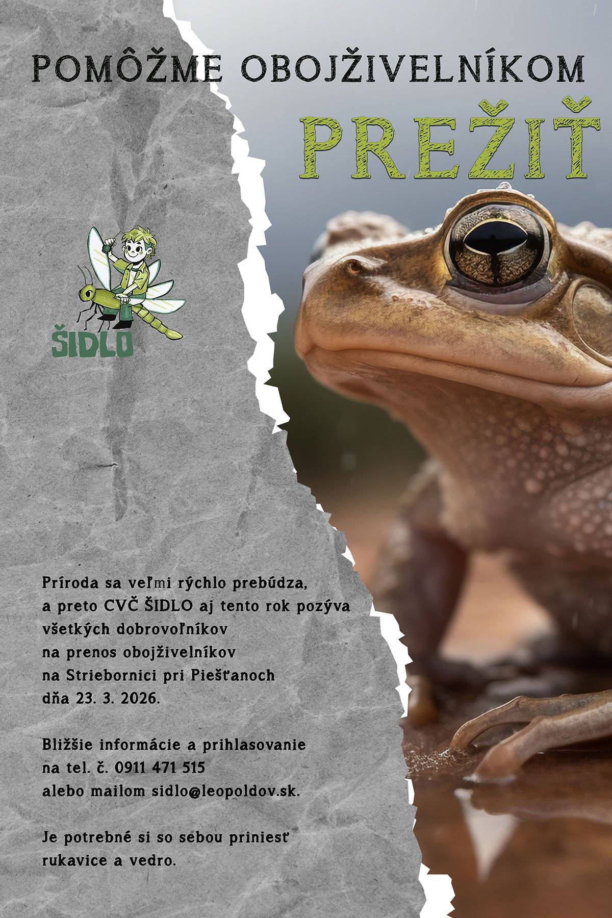 🍀Príroda sa veľmi rýchlo prebúdza a preto CVČ ŠIDLO aj tento rok pozýva všetkých dobrovoľníkov na prenos obojživelníkov na Striebornici pri Piešťanoch dňa 23. 3. 2026 ✅Bližšie informácie a prihlasovanie na tel. č. 0911 471 515 alebo mailom sidlo@leopoldov.sk. 🧤🪣Je potrebné si so sebou priniesť rukavice a vedro.